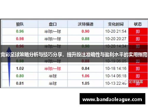 竞彩足球策略分析与技巧分享，提升投注准确性与盈利水平的实用指南