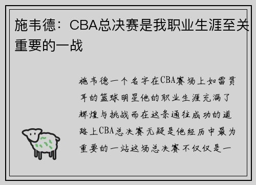 施韦德：CBA总决赛是我职业生涯至关重要的一战