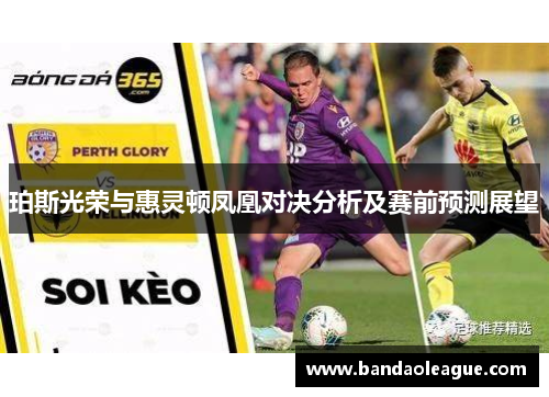 珀斯光荣与惠灵顿凤凰对决分析及赛前预测展望