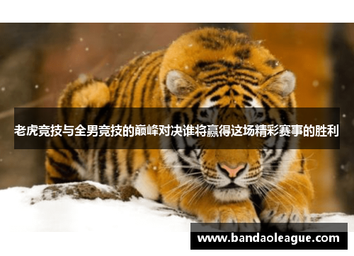 老虎竞技与全男竞技的巅峰对决谁将赢得这场精彩赛事的胜利